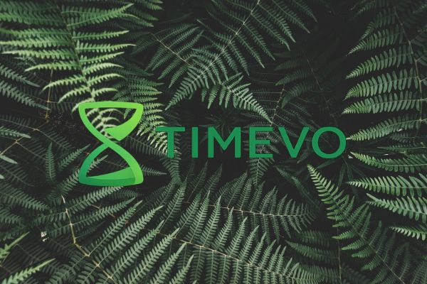 Timevo Oy | toimisto